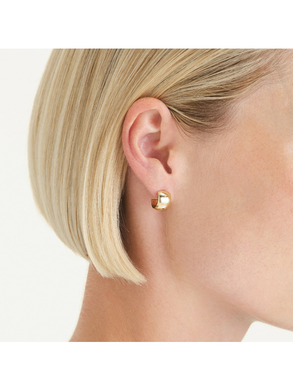 Rosefield Pozlaćene ženske naušnice Rosefield JESWG-J930