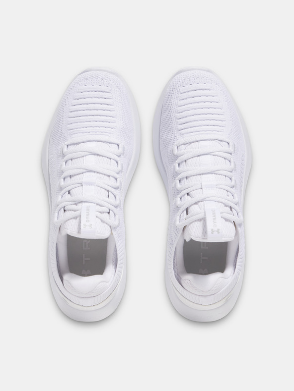 Under Armour Under Armour UA Dynamic 2 muške cipele