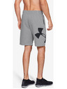 Under Armour Muške kratke hlače Under Armour Rival Fleece Logo Sweatshort