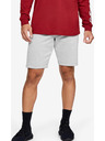 Under Armour Muške kratke hlače Under Armour SPECKLED FLEECE SHORT